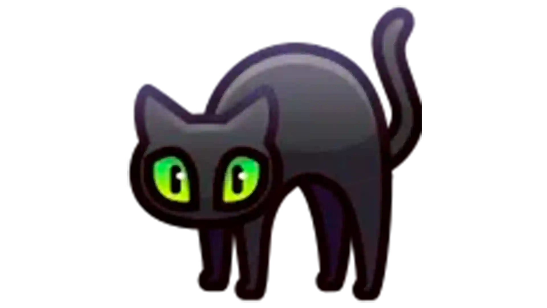 Scared Cat [radnom]